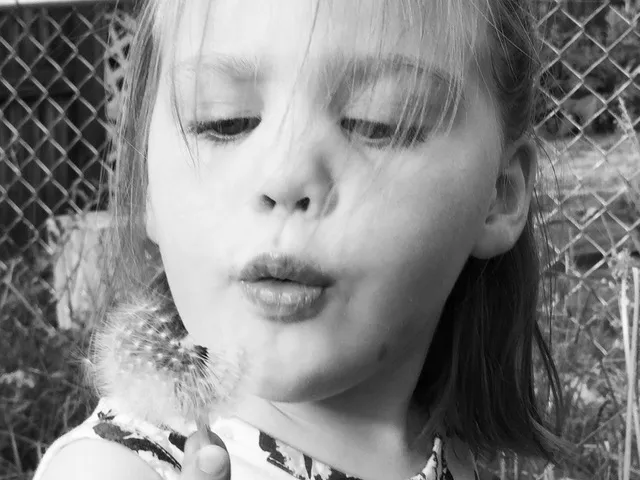 A child blowing the seeds off a dandelion in soft black and white