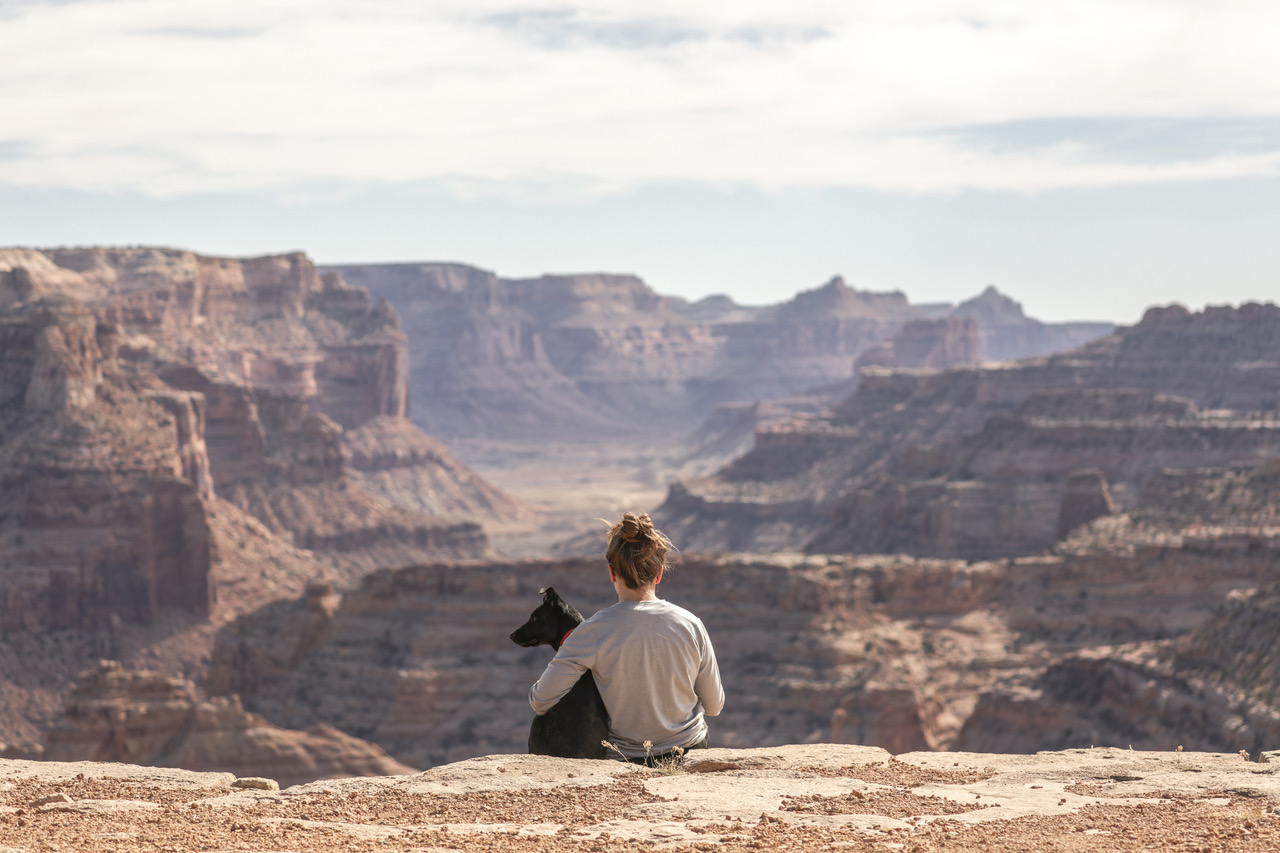 A person sitting with a dog, overlooking a canyon