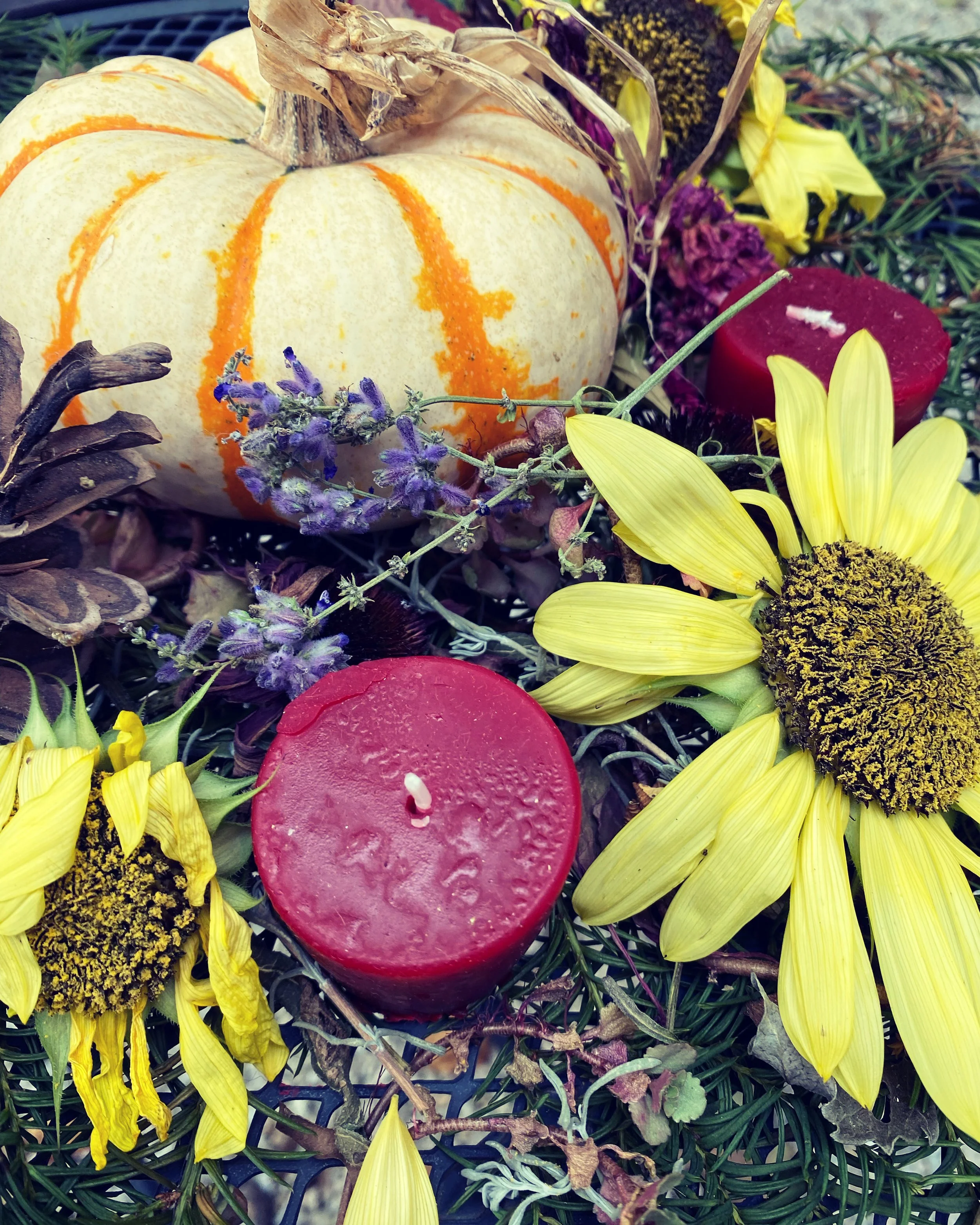 Autumn-inspired workshop setting with warm earth tones and gathered natural elements