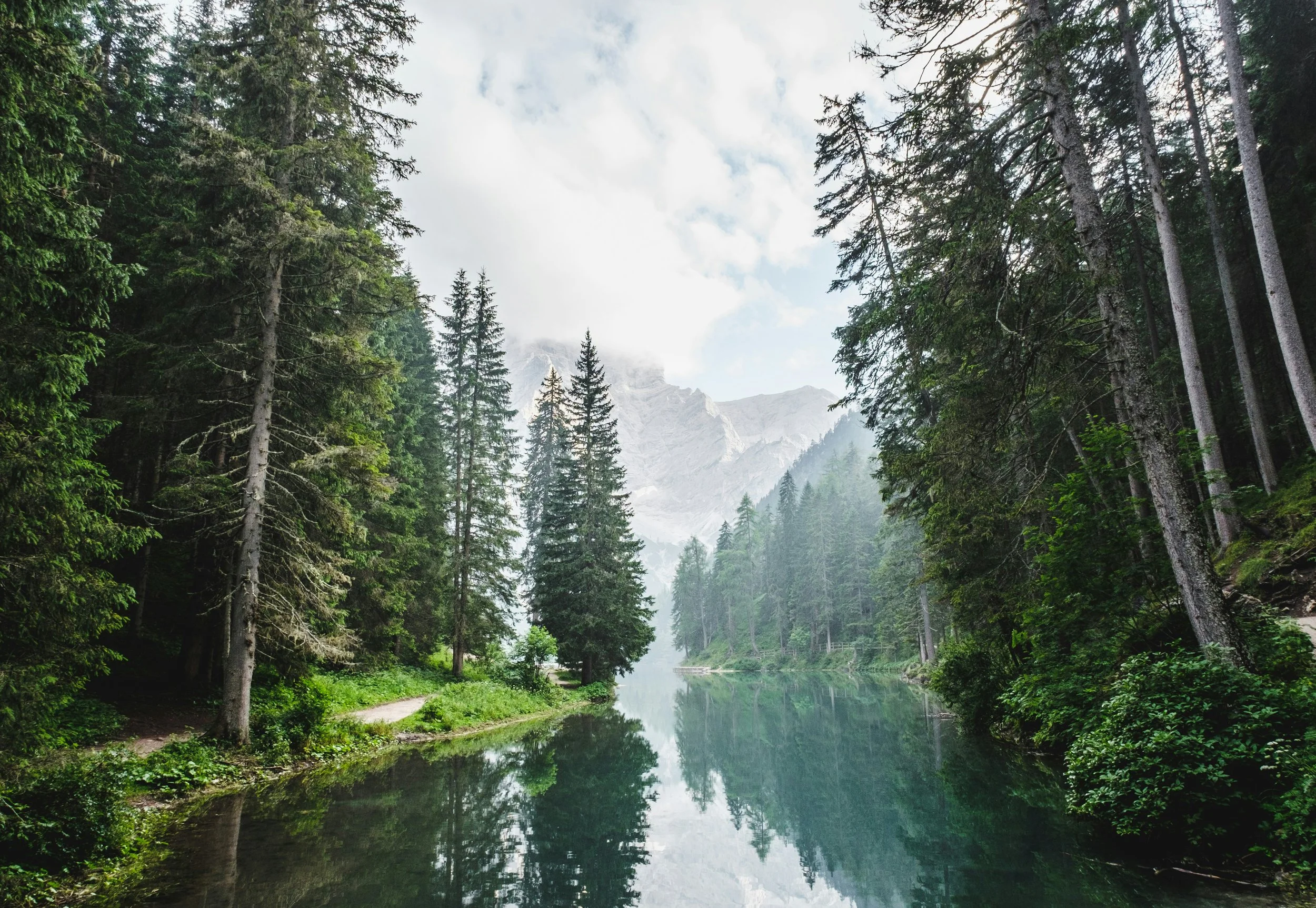 A misty alpine forest with a glassy river reflecting tall pine trees and distant mountains